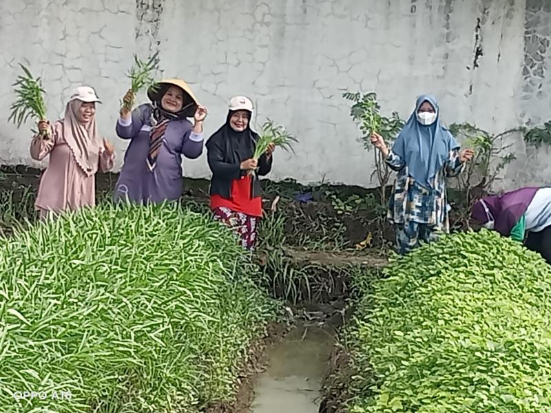 Foto Galeri 3