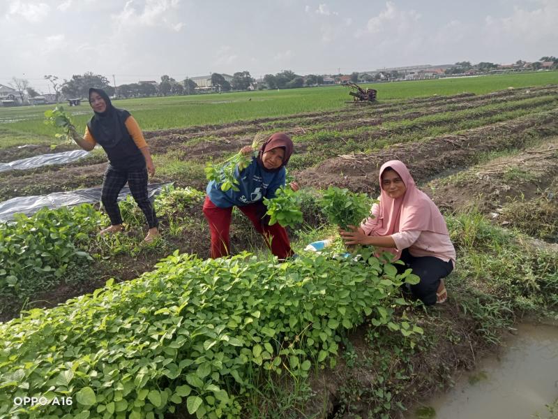 Foto Galeri 2