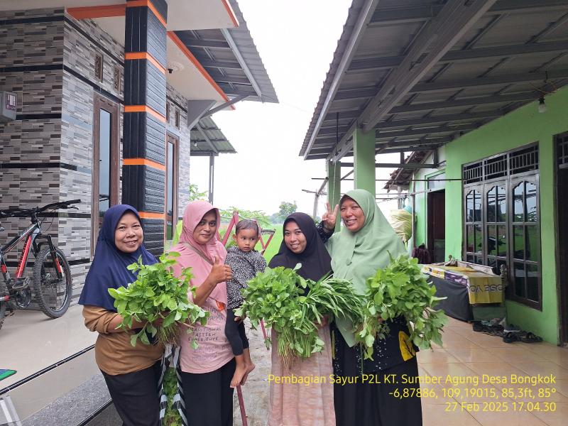 Foto Galeri